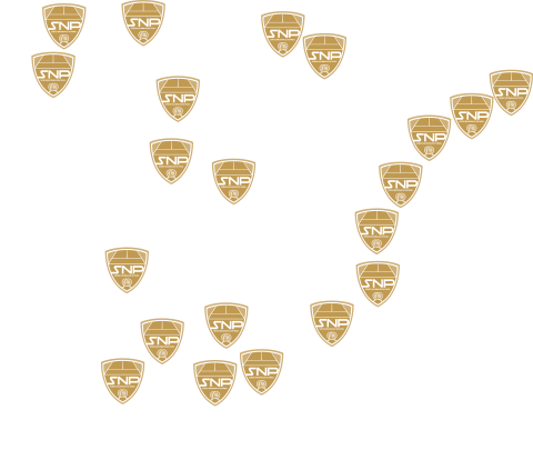 SNP en Espaa